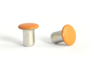 Tubular rivets powder coated cap